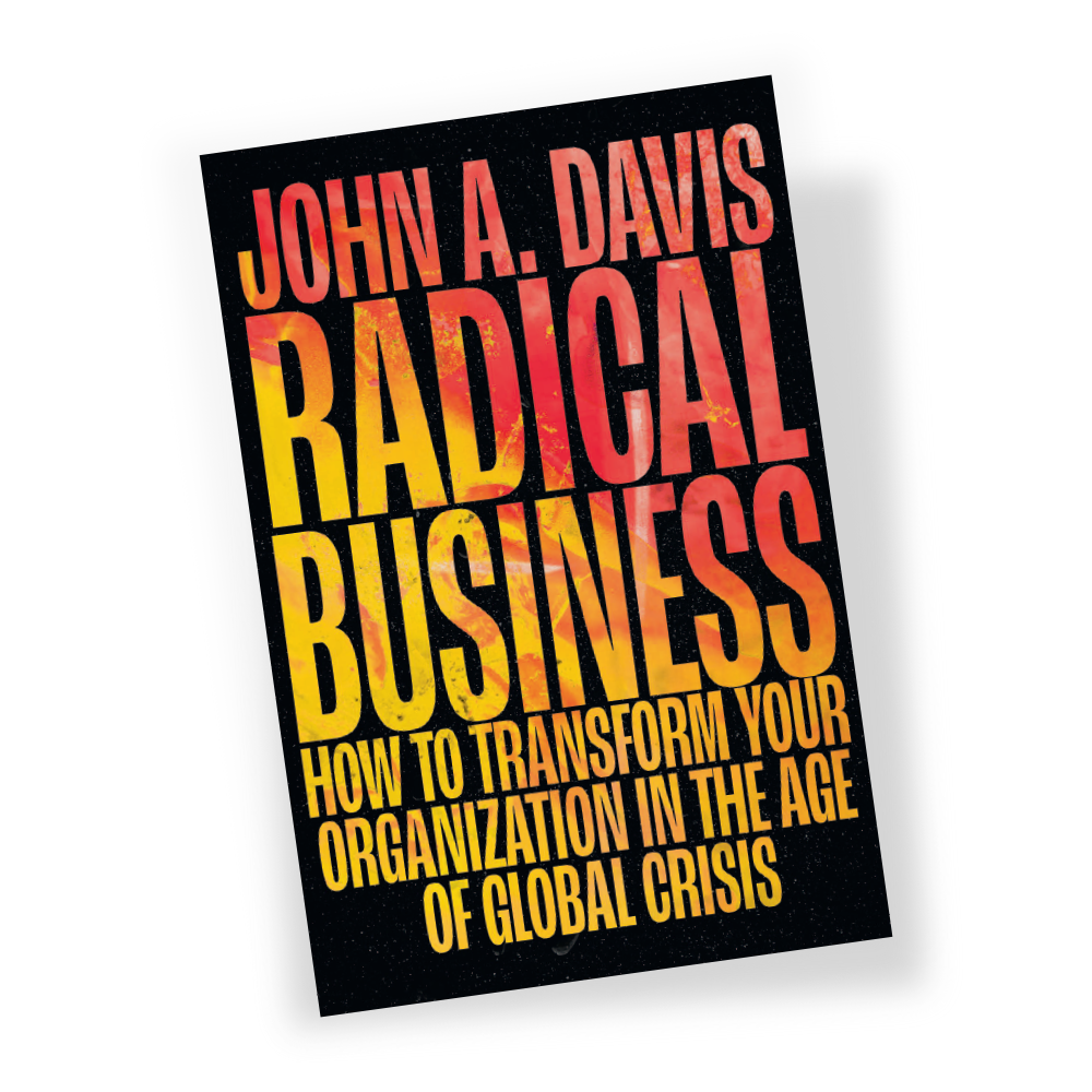 Radical Business Ebook Front Cover
