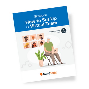 How to Set Up a Virtual Team Skillbook Front Cover